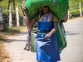 Women in the Heart of India 11